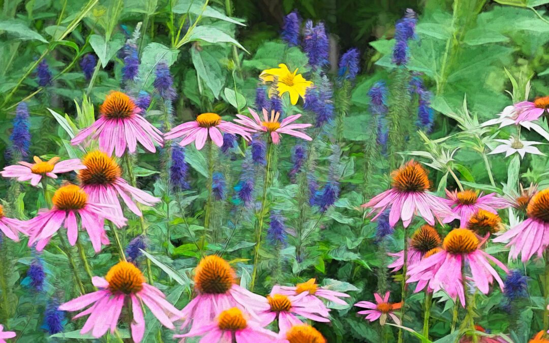 Creative Photography